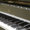 러브웨이 이미지