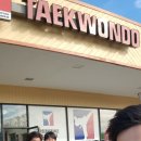 영챔피언태권도 이미지