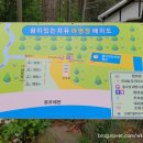 쉼이있는자유 이미지