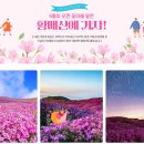 5월11일(토)황매산 철쭉꽃산행 예약 좌석방 안내 이미지