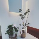 자연담은한약국 이미지