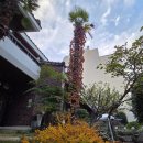 작은정원 이미지