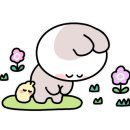 세븐일레븐강서화곡예스점 이미지