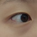 의정부속눈썸펌 루나래쉬 여태 해본 것 중 제일 만족한 후기