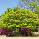 김기원 행정사 사무소 이미지