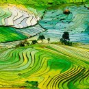 (주)대한환경개발 Daum카페