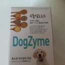 예랑그린텍 | 강아지유산균 도그자임 급여후기