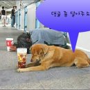 공감 이미지