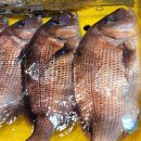 남매수산 이미지