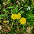 김원삼행정사사무실 이미지