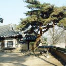 사군자민박 네이버블로그
