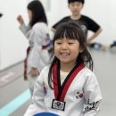 훌륭한 태권도 이미지