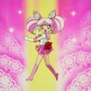 치비치비 이미지