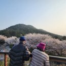 송원재가복지센터 이미지