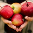 251011. 묵상글 ( 연중 27주간 토요일. - 행복 갈아타기. 등 ) 이미지