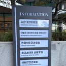 벡스코 센텀호텔 | 부산 벡스코 해운대센텀호텔 후기