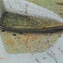 물속풍경 이미지