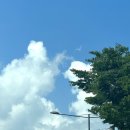 여시발바닥 | 피할 수 없다면 즐...