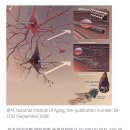 (주)이오약품 이미지