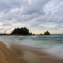 바다의향기 이미지