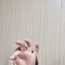 두지리함박골매운탕 이미지