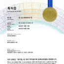 365오락실 이미지