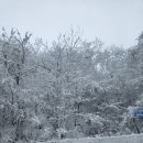 산중민박 | 진전사 봄 소풍 3.