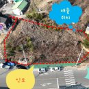 선산대로-15 이미지