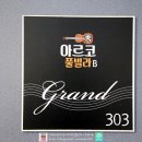 아르코풀빌라펜션 이미지