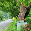 게으른 악어 이미지