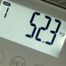 복정해나무한의원 | 단비단 다이어트 환 2주 후기, 식욕 조절 덕분에 꾸준히 이어가는 한약 다이어트