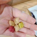 씨튼장애인직업재활센터 | 한 소비로 즐기는 건강 간식, 씨튼베이커리 유기농 후레이크 3종 세트 솔직 리뷰