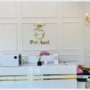 펫아미 강아지분양 고양이분양 동탄점 이미지