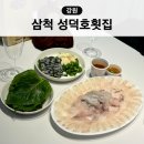 성덕호 | 강원 삼척 장호항 회센터 성덕호횟집 포장 회맛집 추천