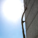 전주도립미술관 이미지