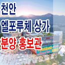 엘포루체 이미지