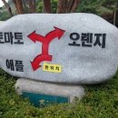 신안골프스쿨 이미지