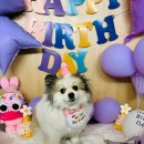 옐레드 부천상동점 이미지