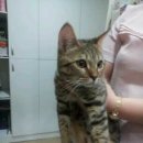 신석초교 이미지