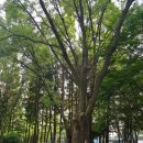 도두리공원 이미지