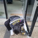 열쇠부동산공인중개사사무소 이미지