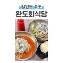[강원도 속초] 내돈내산 속초 오징어 물회 맛집! 완도회식당💙평일 웨이팅, 주차 후기