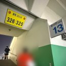 326 | [직관일기] 잠실야구장 3루 네이비지정석 326구역 15열 시야