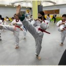 고려태권도아카데미 이미지