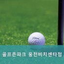 비치센타골프존 이미지