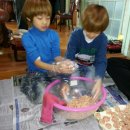 대건체육관 이미지