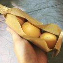 부산 실내놀이터 추천 &#34;벡스코 상상체험 키즈월드&#34; 만족후기
