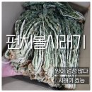 최가네양구펀치볼시래기 | 양구 펀치볼 시래기 후기 시래기 효능 펀치볼 뜻 시래기와 우거지 차이