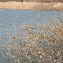 지곡천 3 이미지