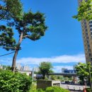 정부동산중개&카페 이미지